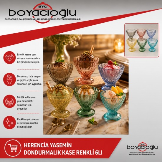 HERENCİA YASEMİN DONDURMALIK KASE RENKLİ 6LI