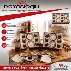 HERENCİ SULTAN LÜSTERLİ 6LI KAHVE FİNCAN TK