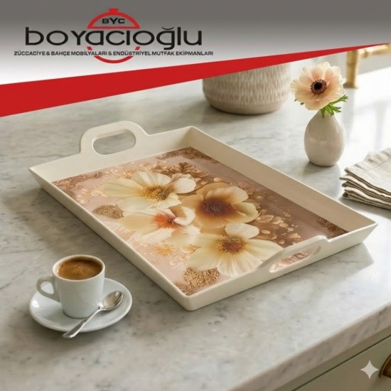 HARMONY AS-149 ERCİYES TEPSİ 30X45