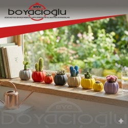 BALKABAĞI BÜYÜK KAKTÜS SAKSI