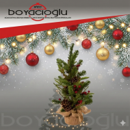 ENF-1212 KOKİNA ÇİÇEK ARANJMANI