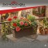 SERİNOVA HASIR BALKON SAKSI 3NO 16,5LT
