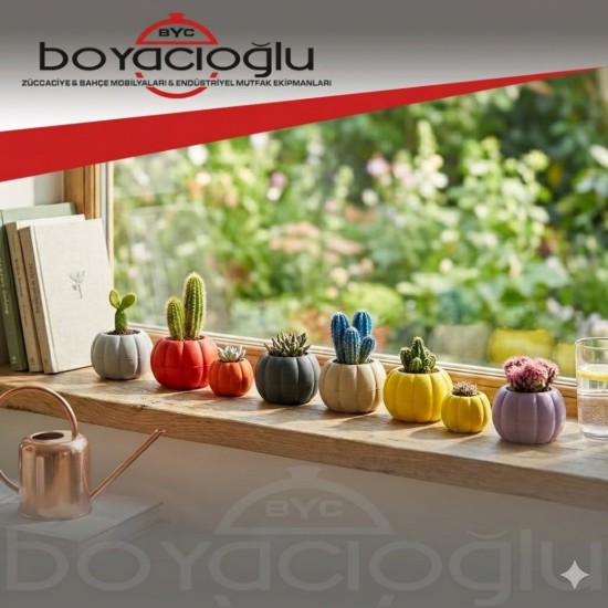 BALKABAĞI KÜÇÜK KAKTÜS SAKSI