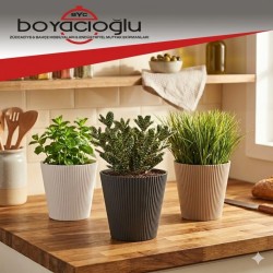 SERİNOVA LUNA SAKSI 3NO