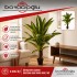 MİTRA MTR-042559 DRECENA SARI YAPAY AĞAÇ 1MT