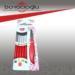 USTHAAM 6LI MEYVE BIÇAK