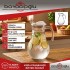 43934 PAŞABAHÇE BİSTRO SÜRAHİ