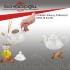 COOKER CKR4013 PORSALEN DEMLİK 800ML