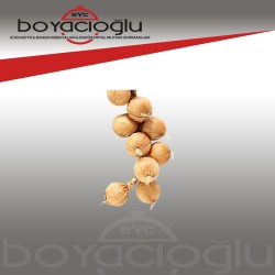 DEKORATİF SOĞAN