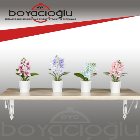 EVA5679 DEKORATİF SAKSILI ÇİÇEK EVA5679 DEKORATİF SAKSILI ÇİÇEK