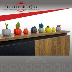 BALKABAĞI KÜÇÜK KAKTÜS SAKSI