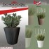 SERİNOVA LUNA SAKSI 3NO