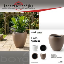SERİNOVA LALE SAKSI 3NO 52LT