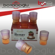 WARDY-01679 PİNTEREST RENKLİ BARDAK 6LI