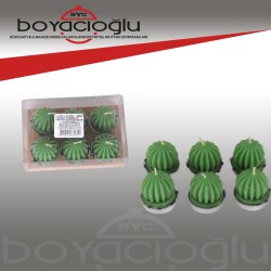 MUM 6LI TOMBUL KAKTÜS X-655