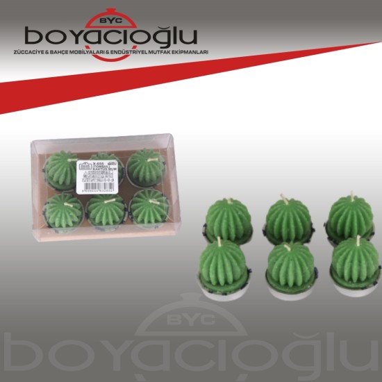 MUM 6LI TOMBUL KAKTÜS X-655 MUM 6LI TOMBUL KAKTÜS X-655